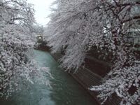 ファイル 2877-1.jpg