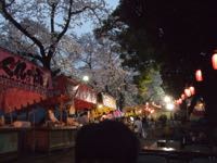 ファイル 2877-2.jpg