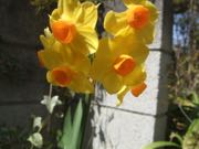 ファイル 2878-1.jpg