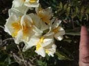 ファイル 2878-2.jpg