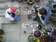 ファイル 2879-5.jpg