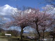 ファイル 2880-1.jpg