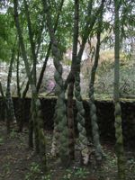 ファイル 2883-2.jpg