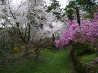 ファイル 2883-4.jpg