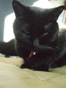 ファイル 2887-1.jpg