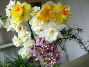 ファイル 2890-1.jpg