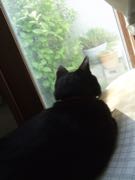 ファイル 2897-1.jpg