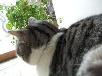 ファイル 290-1.jpg