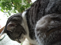 ファイル 290-2.jpg