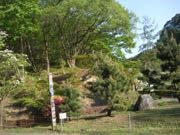 ファイル 2902-2.jpg