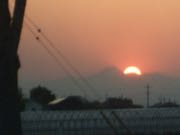 ファイル 2903-1.jpg