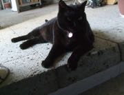 ファイル 2904-1.jpg