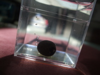 ファイル 291-1.jpg