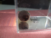 ファイル 291-2.jpg