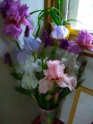 ファイル 2910-1.jpg