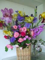 ファイル 2917-1.jpg