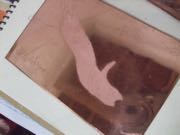 ファイル 2919-1.jpg