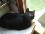 ファイル 2920-4.jpg