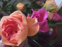 ファイル 2926-1.jpg