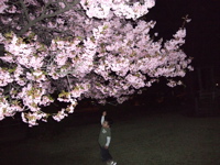 ファイル 293-2.jpg