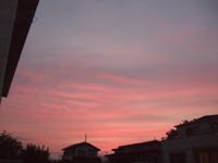 ファイル 2930-1.jpg