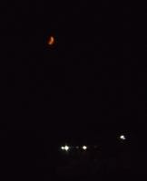 ファイル 2932-1.jpg