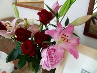 ファイル 2933-1.jpg