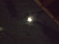 ファイル 2937-1.jpg