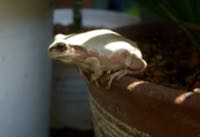 ファイル 2938-1.jpg