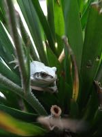 ファイル 2940-1.jpg