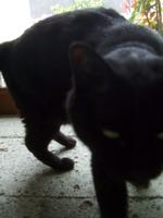 ファイル 2941-1.jpg