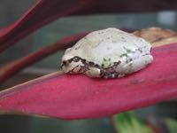 ファイル 2945-1.jpg