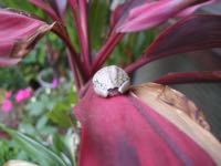 ファイル 2945-2.jpg