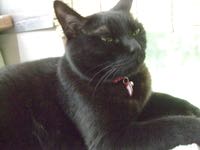 ファイル 2948-1.jpg