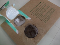 ファイル 295-2.jpg