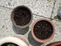 ファイル 295-3.jpg