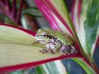 ファイル 2951-2.jpg