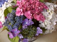 ファイル 2952-3.jpg