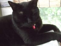 ファイル 2959-1.jpg