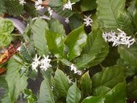 ファイル 2969-1.jpg