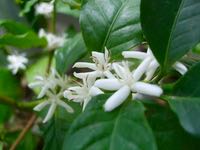 ファイル 2969-2.jpg