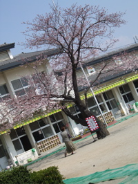 ファイル 297-1.jpg