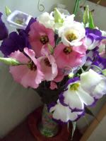 ファイル 2975-1.jpg