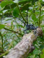 ファイル 2976-1.jpg