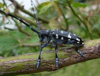 ファイル 2976-2.jpg