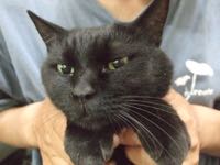 ファイル 2979-1.jpg