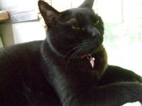 ファイル 2983-1.jpg