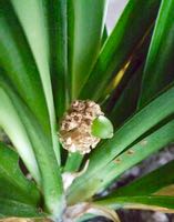 ファイル 2989-2.jpg