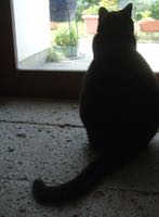 ファイル 2994-1.jpg