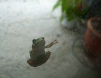 ファイル 3000-1.jpg